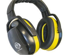 Dzirdes aizsardzība